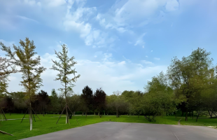 清明假期全国口岸预计日均超230万人次出入境  