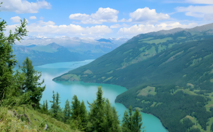 新疆将资源优势转化为高质量发展胜势  