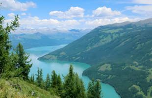 新疆将资源优势转化为高质量发展胜势  