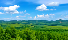 在雄安，有群塞罕坝的造林人 