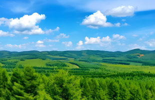 在雄安，有群塞罕坝的造林人 