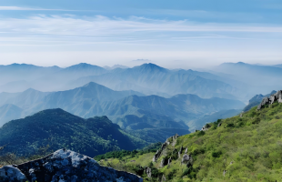 “我们守着这座山，这片绿就丢不了”    