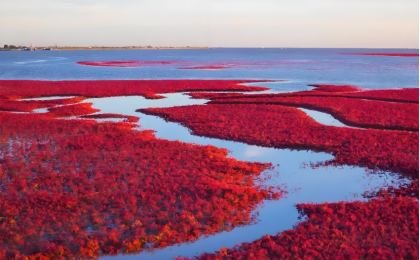 精细治理，守护碧海蓝天    