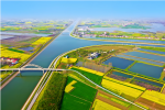 湖北沙洋：全域土地整治让“一处美”变“一片美”    