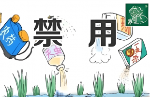 农业农村部集中整治禁限用农药非法生产经营使用行为  