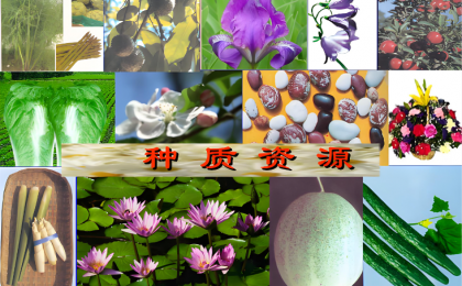 存万千良种 育丰收希望  