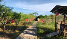 亿缕阳光·乡见｜向往的生活  