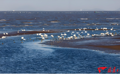 闽江河口“长”出新风景  