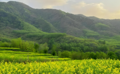 拓宽绿水青山转化金山银山的路径   