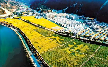 从三个样本，看乡村治理密码