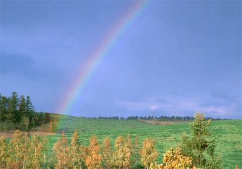 智库4.jpg 智库4.jpg