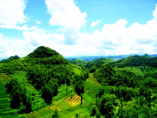 山东：.jpg