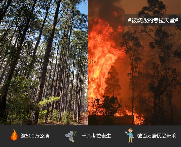 微信图片_20191230120119.jpg