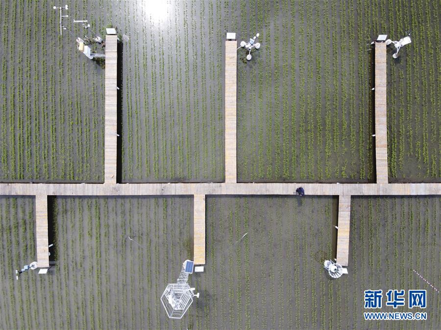 微信图片_20200702154534.jpg