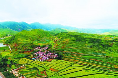 微信图片_20200904135120.png