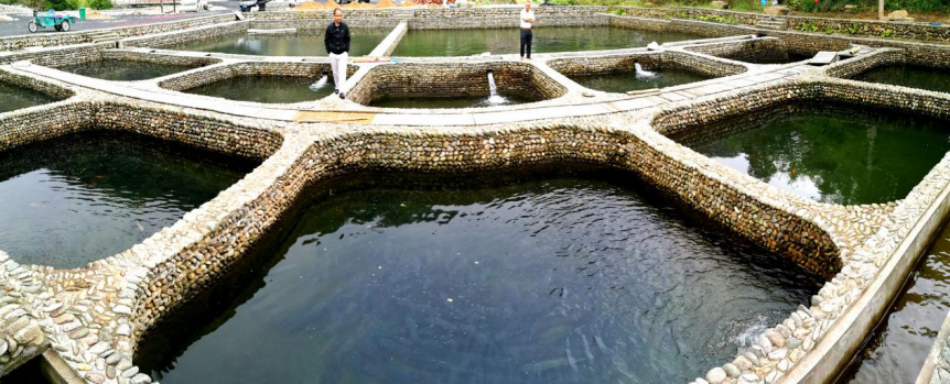 00301184616_7c536985 (1).png 00301184616_7c536985 (1).png