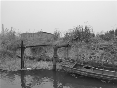 在与微山湖.jpg