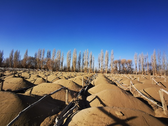 139682235_16111016946691n.jpg 139682235_16111016946691n.jpg