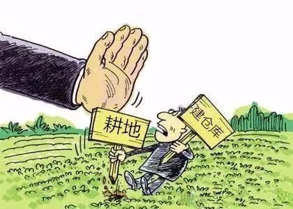 占耕地建房.jpg