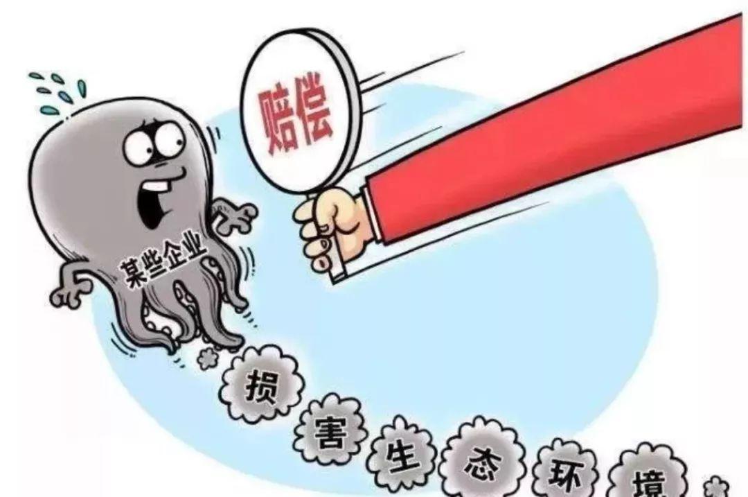 赔偿.jpg