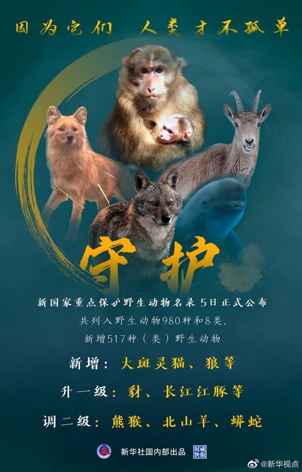 动物.jpg