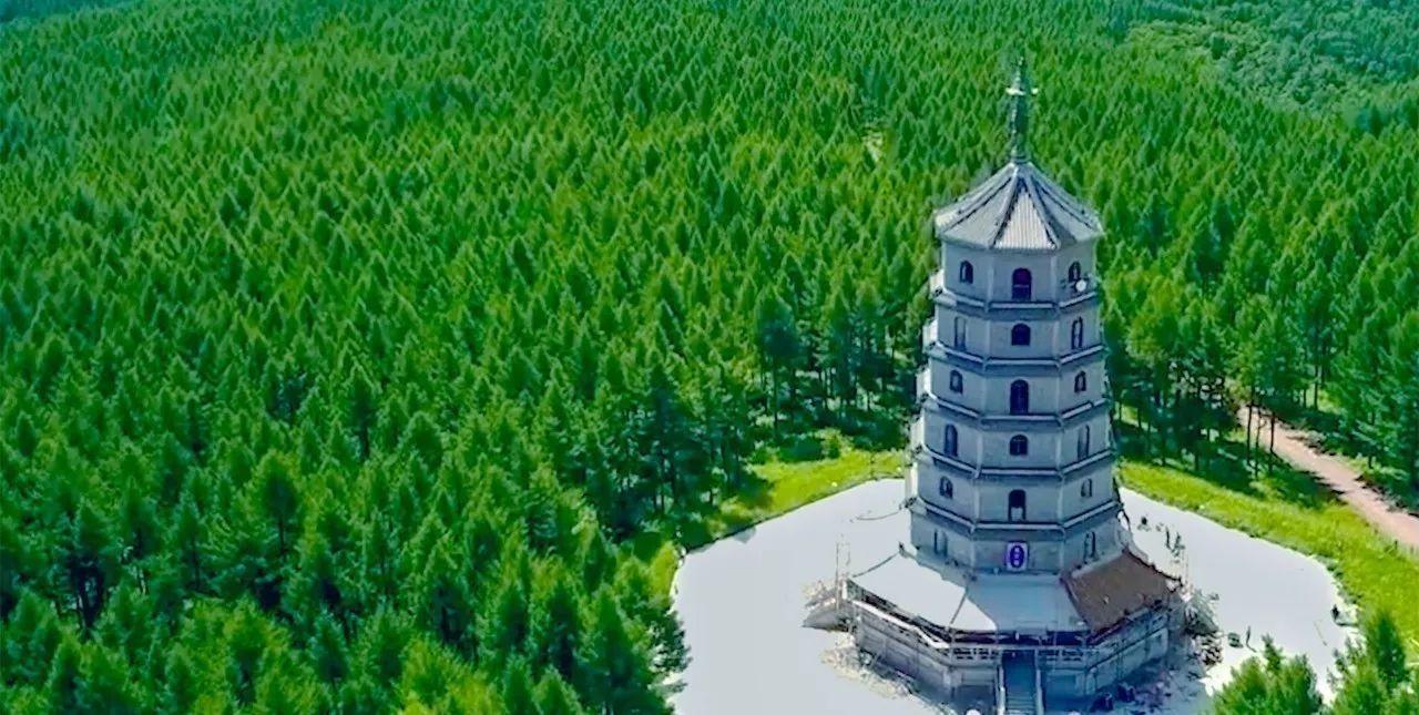 塞罕坝.jpg