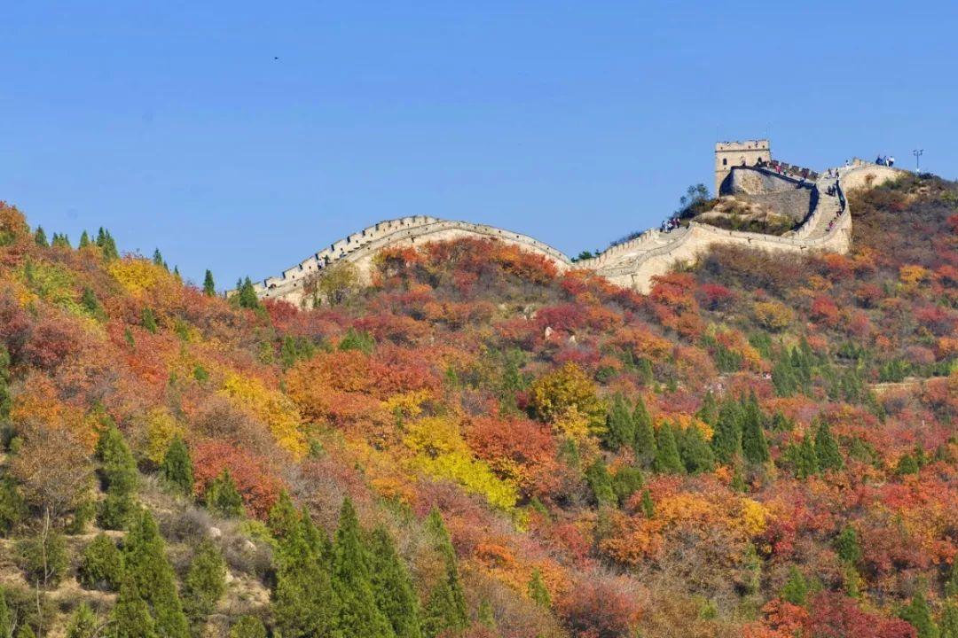 延庆区.jpg