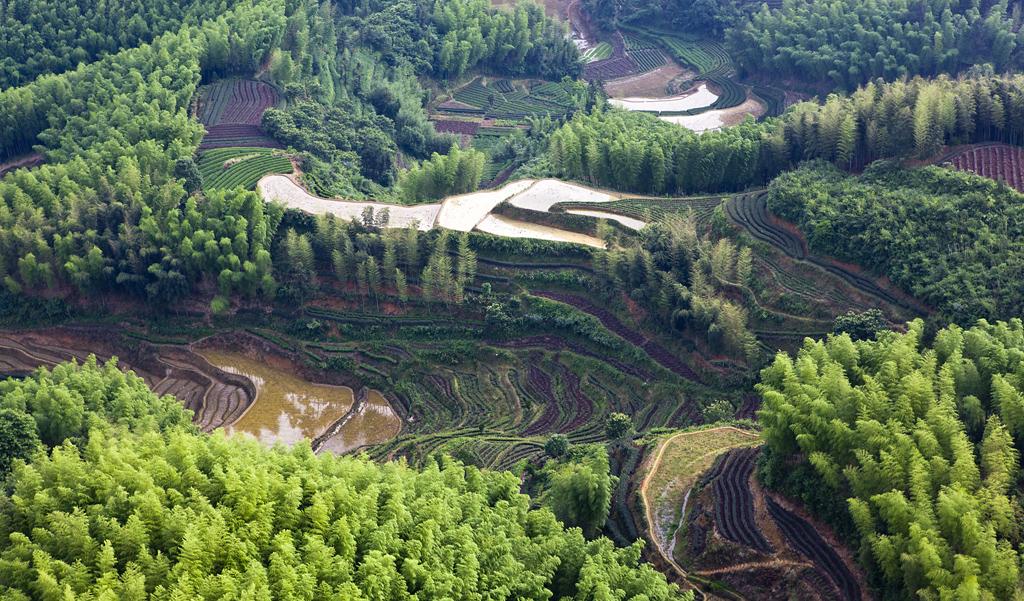 丽水.jpg