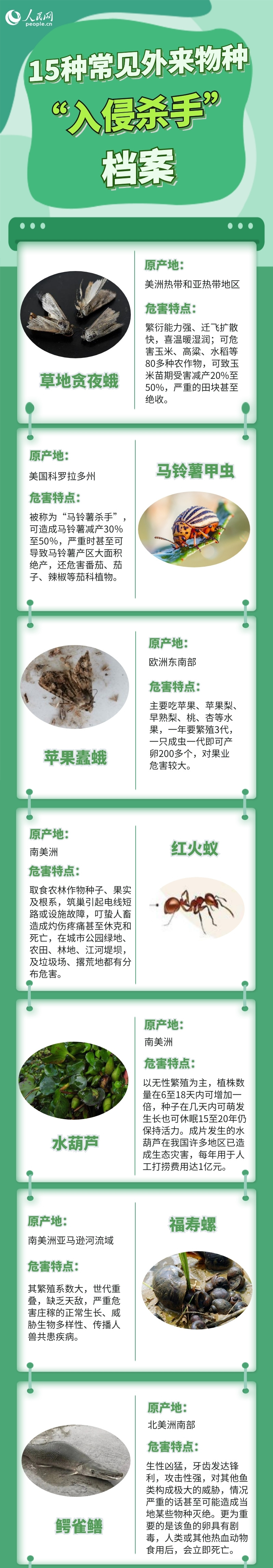 入侵.jpg
