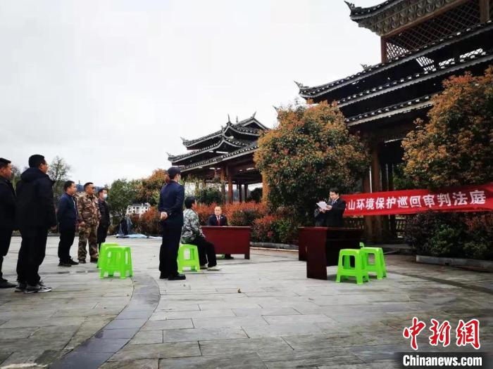 贵州首例破坏生态环境认购“碳汇”案公开宣判