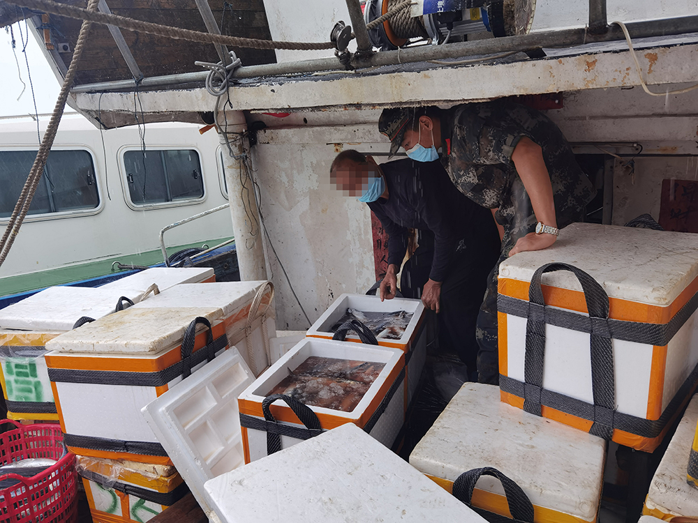 泉州海警局查扣渔获物约3000公斤