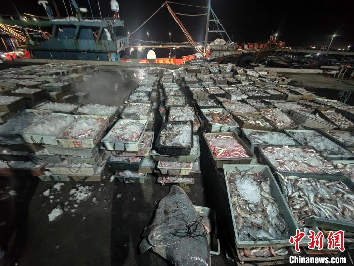 图为涉案渔获物。　漳州海警局供图