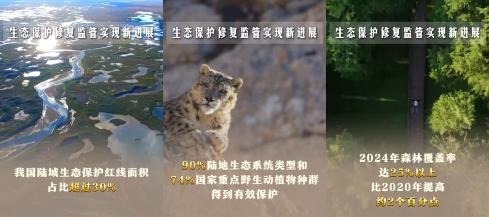 生态保护修复监管实现新进展.jpg