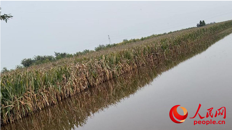 1762336747966524.png 图为10月23日山西运城市盐湖区.png