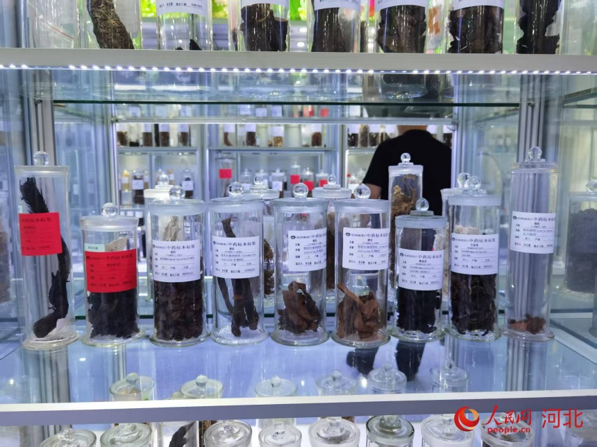 1762411561221070.png 以岭中医药标本馆陈列的真伪中.png