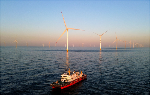 1763632425912925.png 图为山东省莱州市海.png