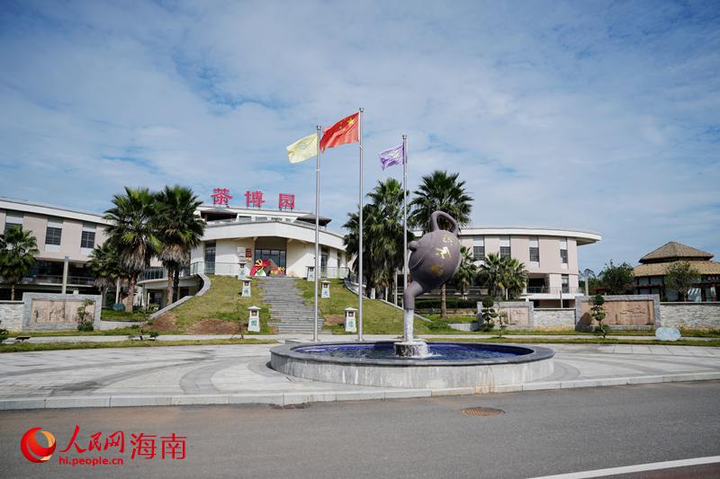 1764241411120993.jpg 白沙农场茶博园。人民.jpg