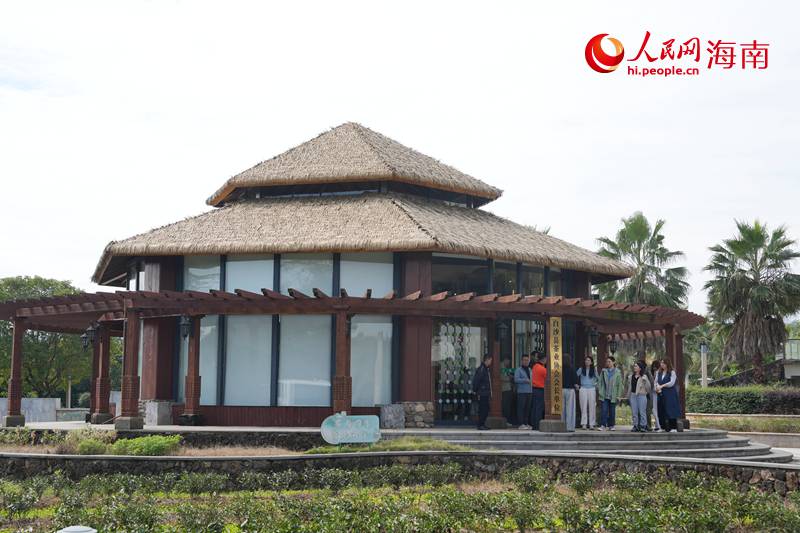 1764241431680586.jpg 白沙农场茶博园。人民网记.jpg