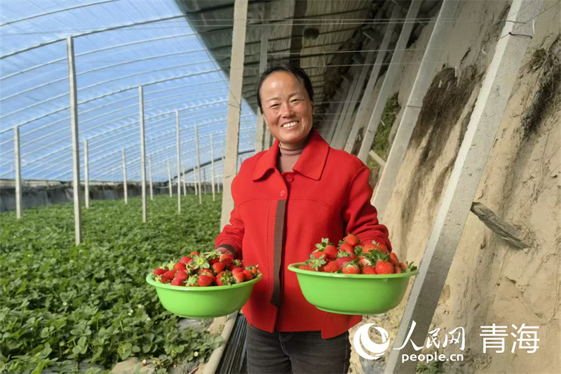 1764313997352315.png 石永花捧着满满两.png