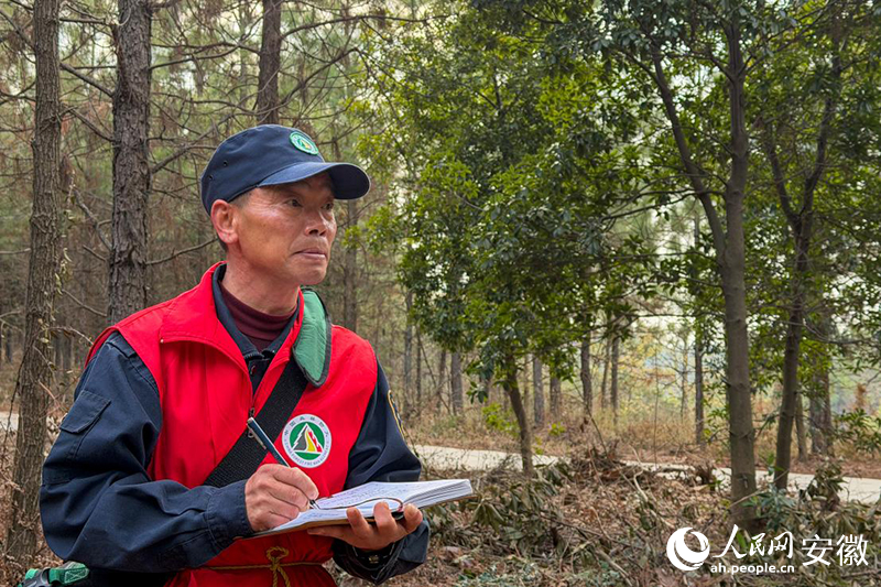 储永刚在记录林间巡查结果。人民网记.jpg