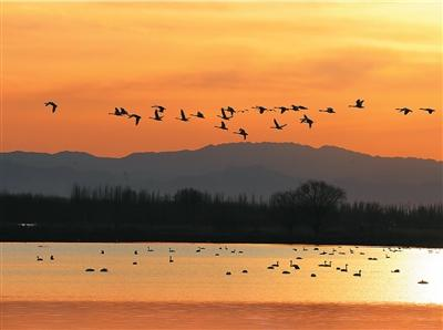 1774510491656300.png 河北省张家口市官厅水库国.png