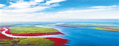1775702069629931.jpg 图为盘锦辽河口湿地的红海滩。.jpg