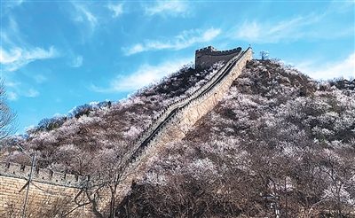 1775723543239188.jpg 北京八达岭水关长城景色。.jpg