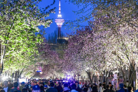 1775820946685422.jpg 游客在天津市五大道历史文.jpg